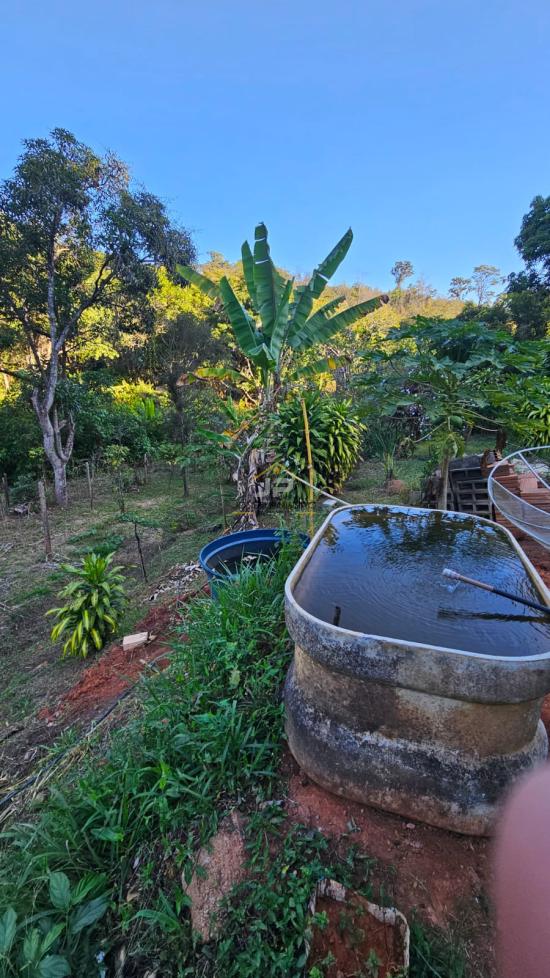 sitio-venda-zona-rural-de-betim-bairro-santo-afonso-1030808