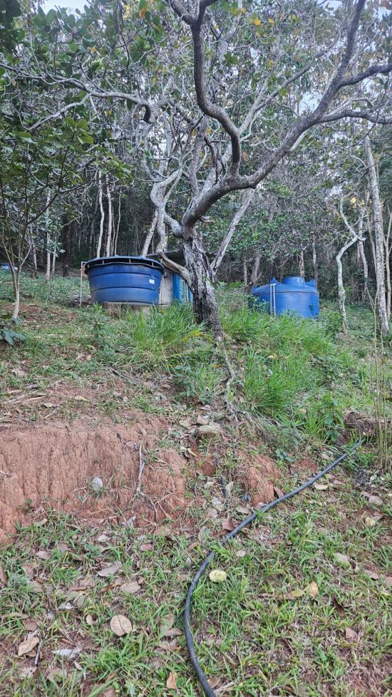 sitio-venda-zona-rural-de-betim-bairro-santo-afonso-1030809