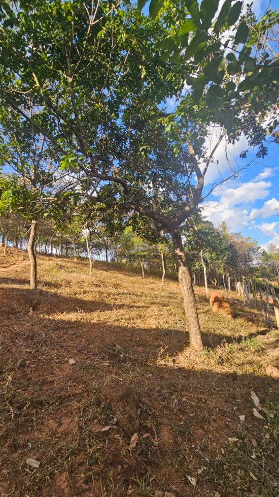 terreno-venda-bairro-marimba-betim-mg-1041449