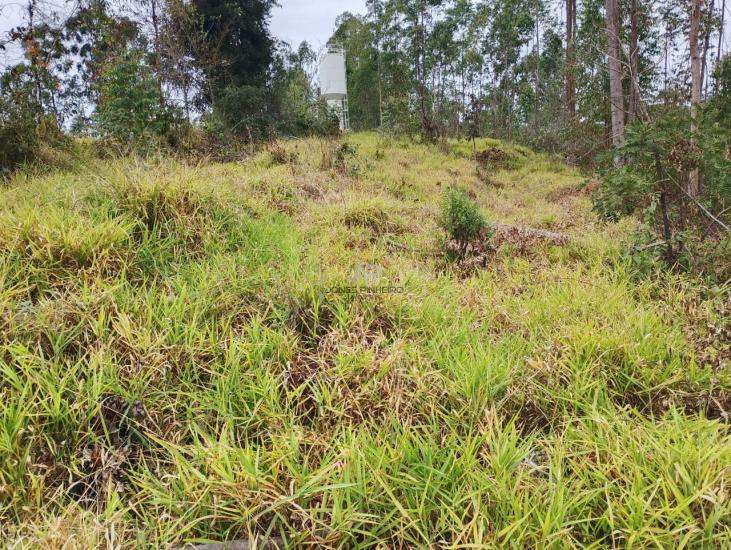 lote-venda-belissimo-lote-situado-em-pereirinhas-desterro-de-entre-rios-mg-1033692